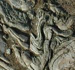 Wo rohe Kr&auml;fte walten... / Brute forces