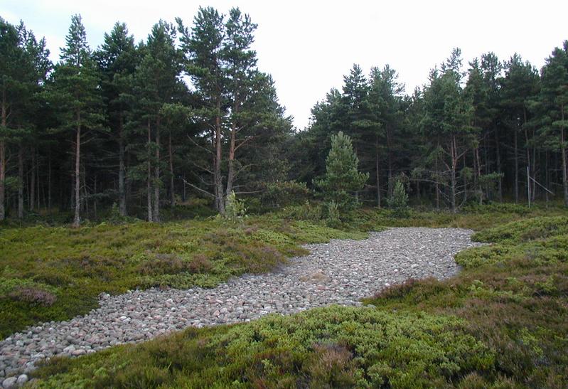 Zum Schlie&szlig;en anklicken / click to close