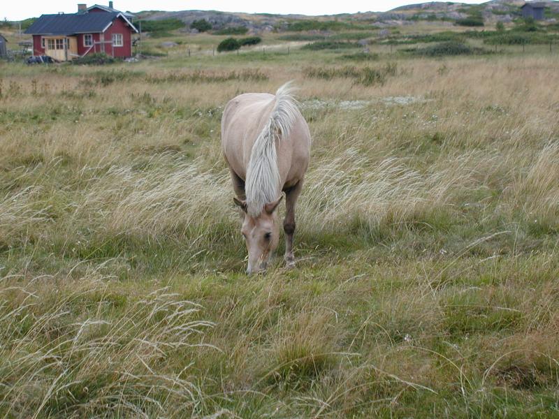 Zum Schlie&szlig;en anklicken / click to close
