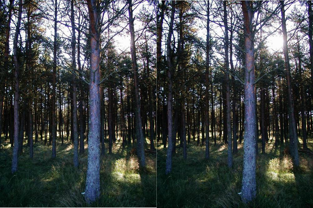 Zum Schlie&szlig;en anklicken / click to close