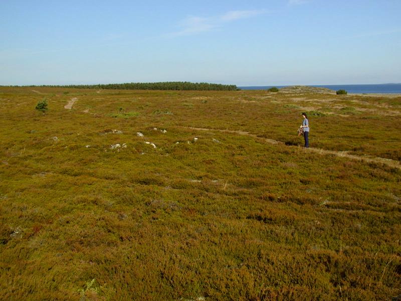 Zum Schlie&szlig;en anklicken / click to close