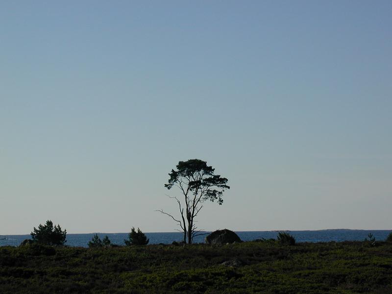 Zum Schlie&szlig;en anklicken / click to close