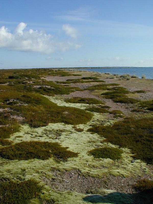 Zum Schlie&szlig;en anklicken / click to close