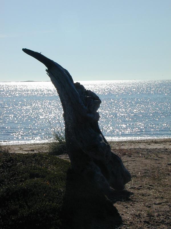 Zum Schlie&szlig;en anklicken / click to close