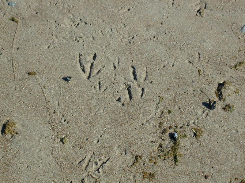 Zum Schlie&szlig;en anklicken / click to close