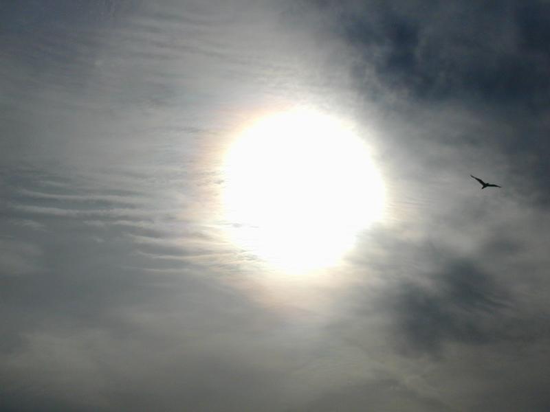 Zum Schlie&szlig;en anklicken / click to close