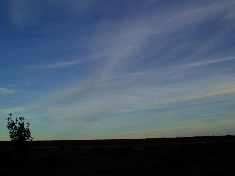 Zum Schlie&szlig;en anklicken / click to close