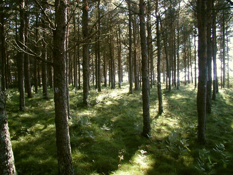 Zum Schlie&szlig;en anklicken / click to close