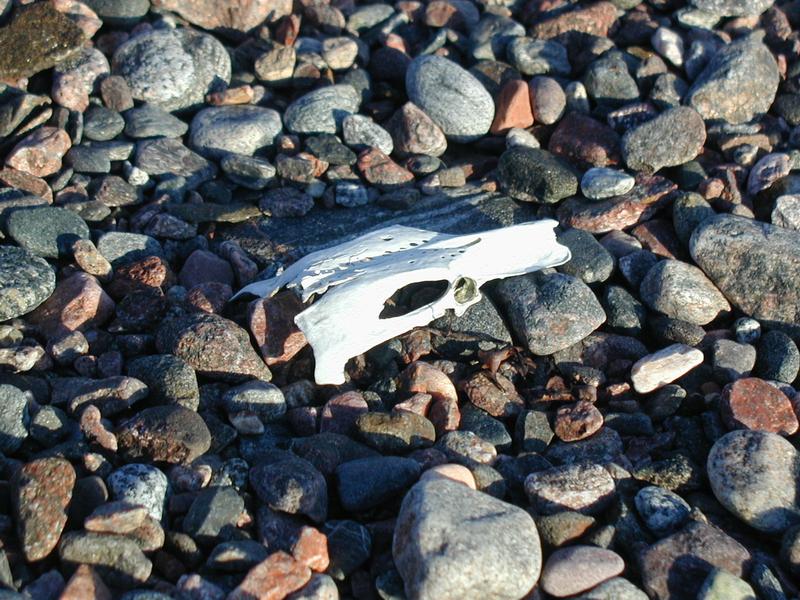 Zum Schlie&szlig;en anklicken / click to close