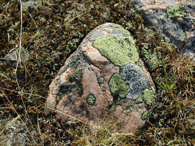 Zum Schlie&szlig;en anklicken / click to close