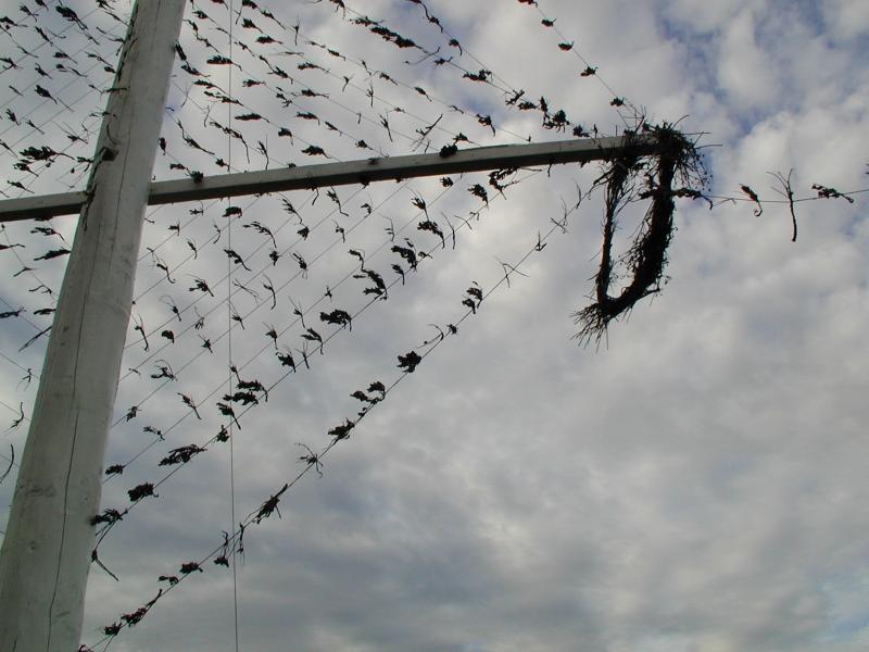 Zum Schlie&szlig;en anklicken / click to close